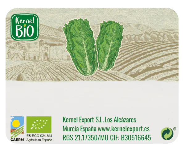 Kernel Export