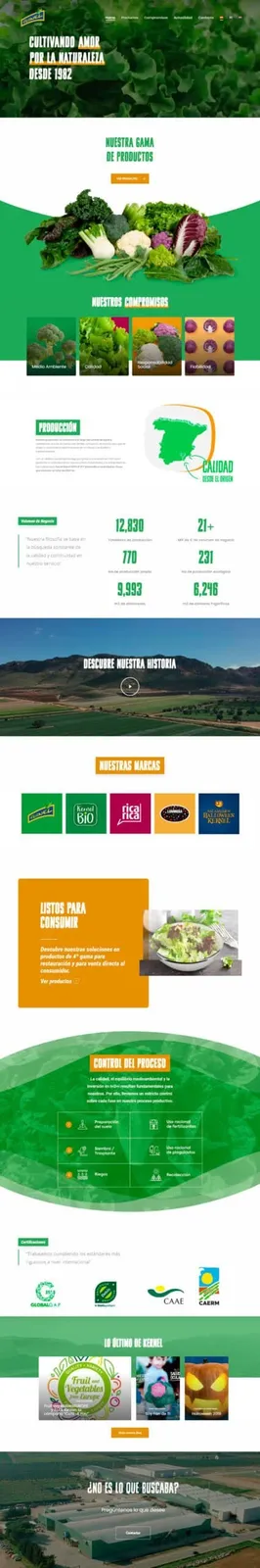 Diseño web Kernel Export