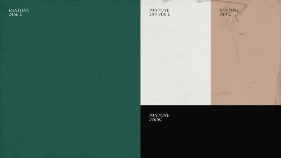 Muestra de paleta de colores para branding en El Huerto JC1.