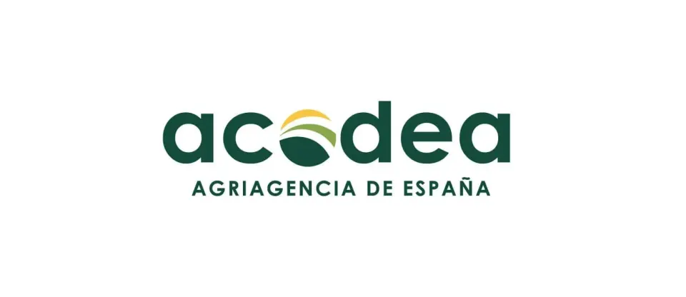 Agencia de Branding Murcia