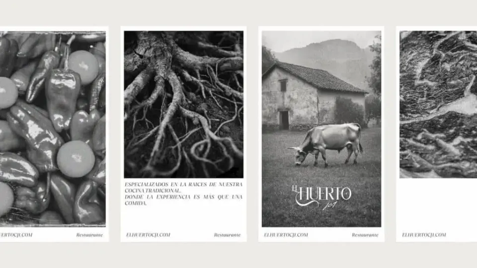 Raíces y productos naturales en El Huerto JC1, branding ecológico.