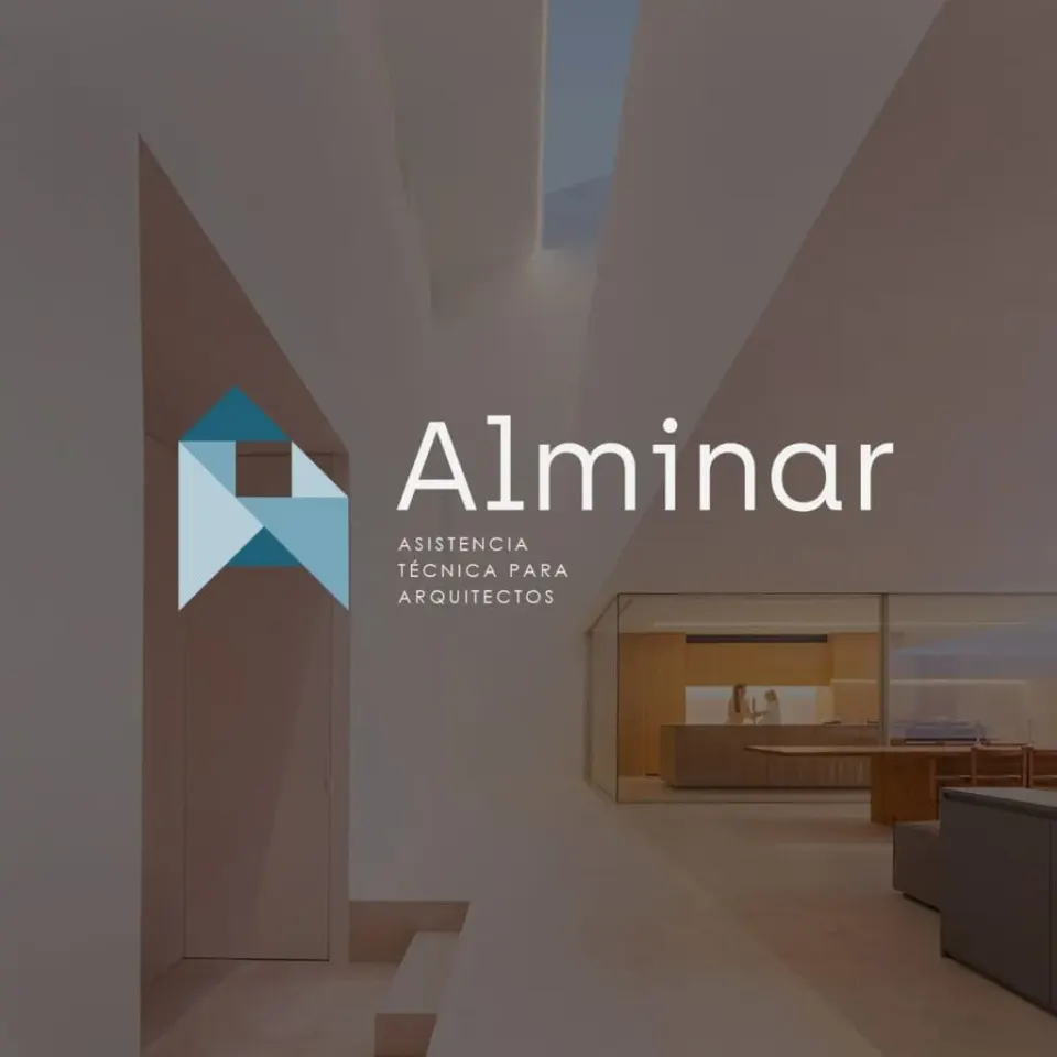 Asistencia técnica para arquitectos en diseño y desarrollo web.