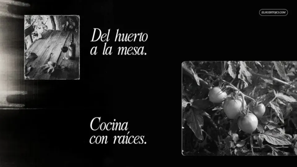 Imagen de tomates en un huerto orgánico.