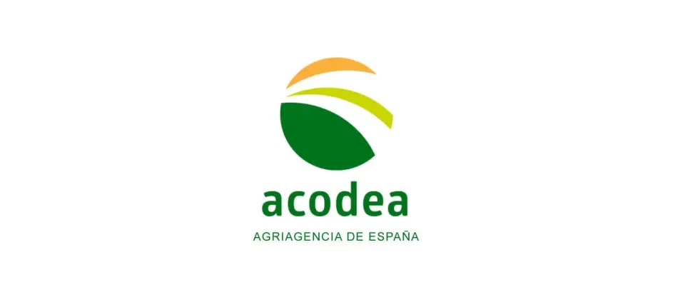 Agencia de Branding Murcia